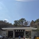 금강공원 | 부산 동래구 온천동 (금강공원) 산책 후기