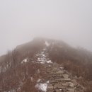 호남목장 이미지