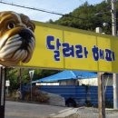 달려라 해피 이미지