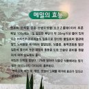 화곡강산면옥 이미지