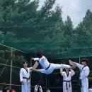 수리온태권도 이미지