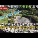 [급매 처리]..구만면 소재 산으로 둘러싸인 아늑한 분위기의 개울 접한 생산관리지역밭 1,617m² 매매 이미지