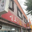 실로암민물고기