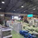 청솔청과 이미지