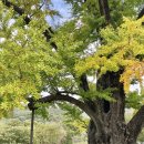 외산면 무량사 주차장 화장실 | [템플스테이 추천] 엄마랑 다녀온 부여 무량사 템플스테이 후기