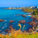 곽금올레길 한담해안산책로는 단 1.2km=숨은 비경 31선 중 최고 이미지