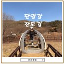 단양강잔도 | 단양 여행 필수 코스 단양강 잔도길 후기 | 만천하스카이워크 산책 코스