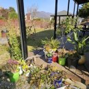 운심농장 이미지