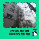 관악-현장-관악-12-03 | 관악 나무 제거 업체 가지치기 및 전지 작업