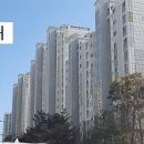 다숲부동산공인중개사사무소 이미지