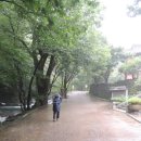 계룡산등산로(절) 이미지