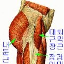 제 11장. 자세와 신체역학(posture and body mechanics) 이미지