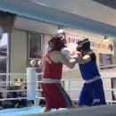 광주화랑권투 이미지