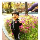 개미산공원 이미지