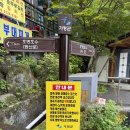 호명호수관광안내소 | 가평 호명호수 둘레길 걷기