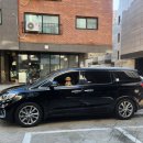 안나 펫 살롱 이미지