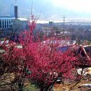 기드온(주) 이미지