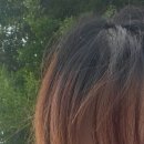 에이원헤어라인 | 김포운양동미용실 추천 에이원헤어스튜디오 염색 잘하는 곳