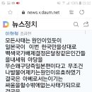 정치실종의대참사 이미지