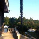 큰소낭 작은돌집 이미지