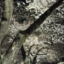 신평동1080 이미지