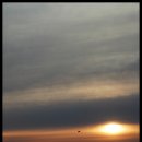 동해일출 이미지