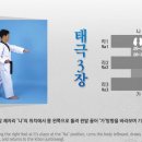 한국체대 태평양 태권도 이미지