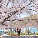 문암초등학교 이미지