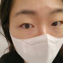 이창영참치 | 강남 속눈썹 연장 속눈썹펌은 래쉬돌 강남역점 첫방문 할인 리터치 무제한 O