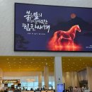 강서도서관 | 부산 강서구 국회부산도서관 방문 후기 종합열람실