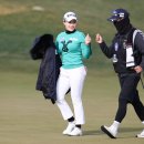 버디텔레콤 이미지