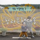 둘레길관광농원 | 보령 청라은행마을 가을 단풍 명소 은행나무 축제