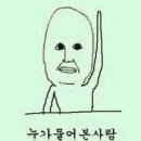 클라라아이래쉬