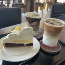 삼남로 | 평택 카페 편안한 분위기 카페 평택 몰릭 내돈내산 후기