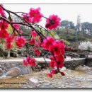 청춘고백 이미지