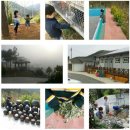 우포늪단감펜션 이미지