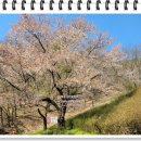 고원공인중개사사무소 이미지