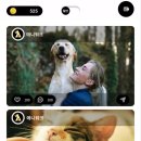 애니펫 동물병원 이미지