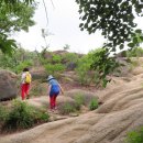 초록숲공원 이미지