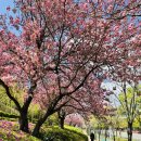 신복공원 이미지