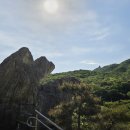 (주)군포여객 | 군포 철쭉동산 &amp; 초막골 생태공원(위치, 입장료, 주차, 볼거리 여행 정보)