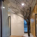 경희큰나무한의원 이미지