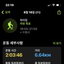 사나흘