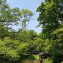 거제식물원 이미지