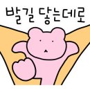 타코익스프레스 이미지