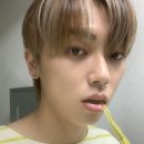 예설