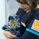 초로동물병원 이미지