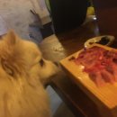 일진태권도장 이미지