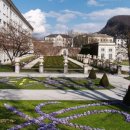 미라벨(MIRABELL) 이미지