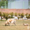 오수의견관광지 이미지